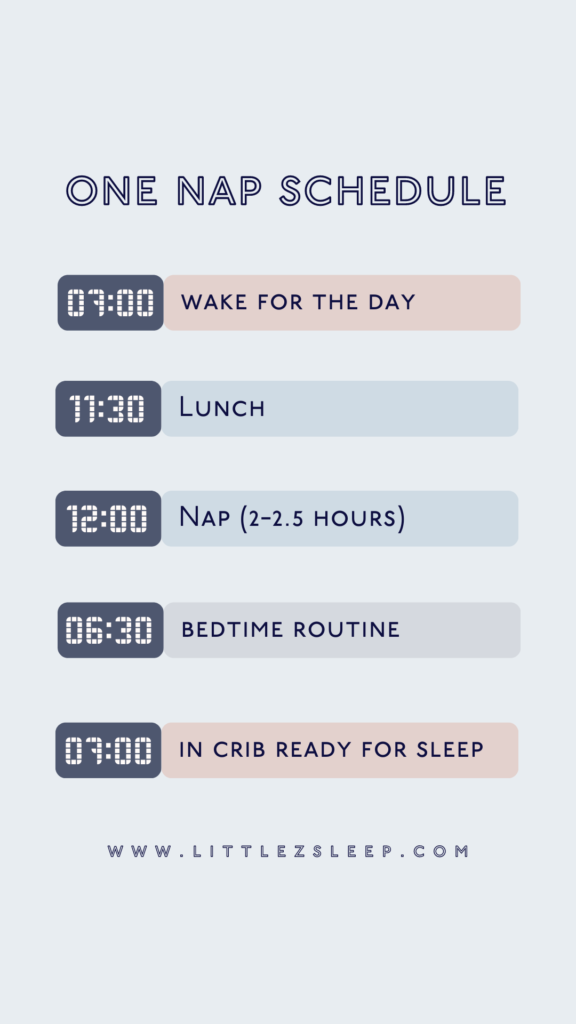 1 Nap Sleep Schedule explained