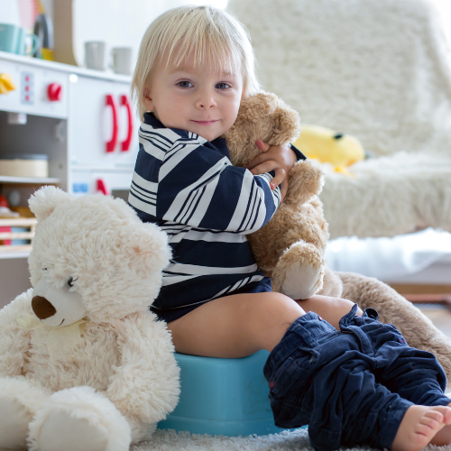 Curious about tackling potty training with your little? Here is Potty Training 101 with Allison Jandu.